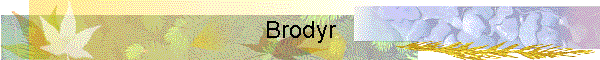 Brodyr