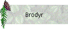 Brodyr
