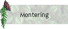 Montering