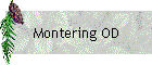 Montering OD