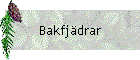 Bakfjdrar