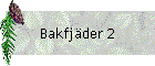 Bakfjder 2