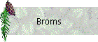 Broms