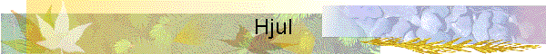 Hjul