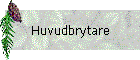 Huvudbrytare