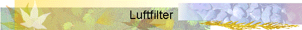 Luftfilter