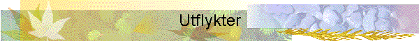 Utflykter