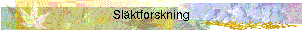 Slktforskning