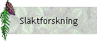 Slktforskning