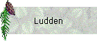 Ludden