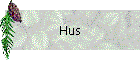 Hus