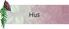 Hus