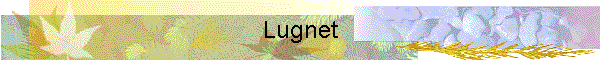 Lugnet