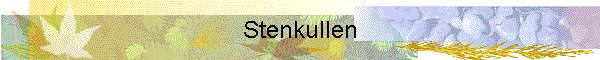 Stenkullen